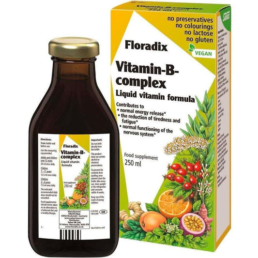 Floradix Vitamin-B Complex 250ml