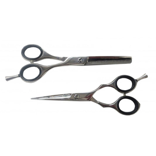 Professional Hairdressing Scissor/Thinner Set 6 Inch